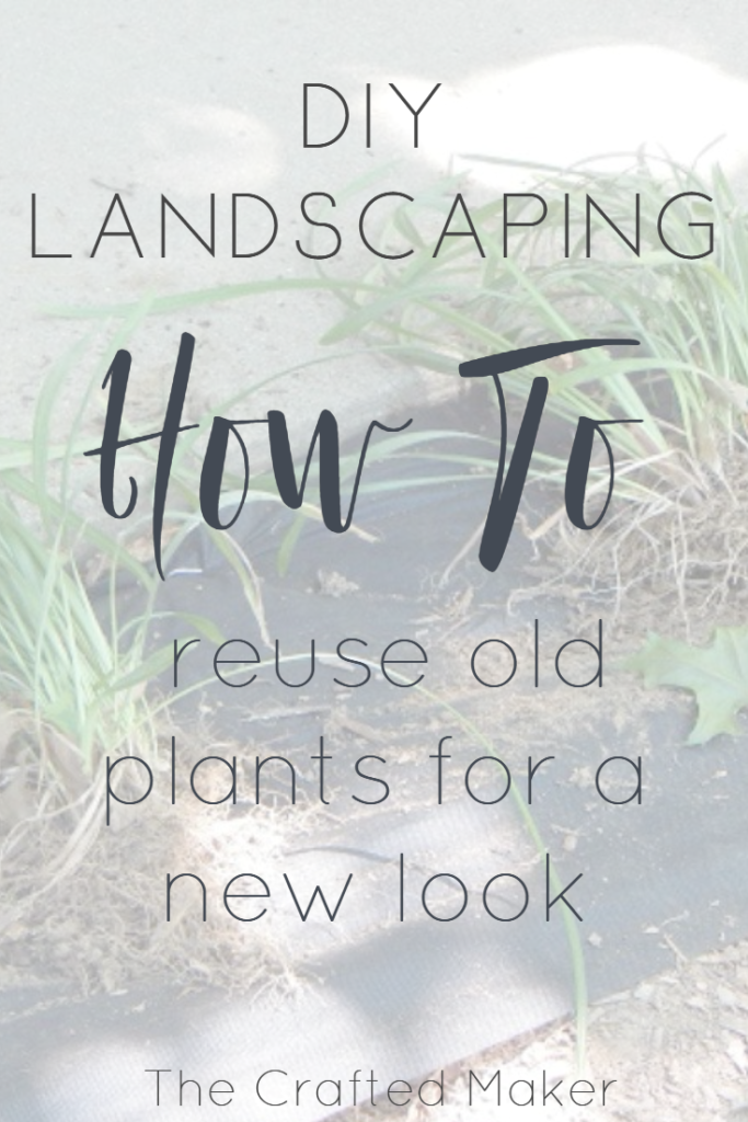 Landscaping can drastically change the look of a home. Use the plants you already had planted to create a whole new look for very little money.